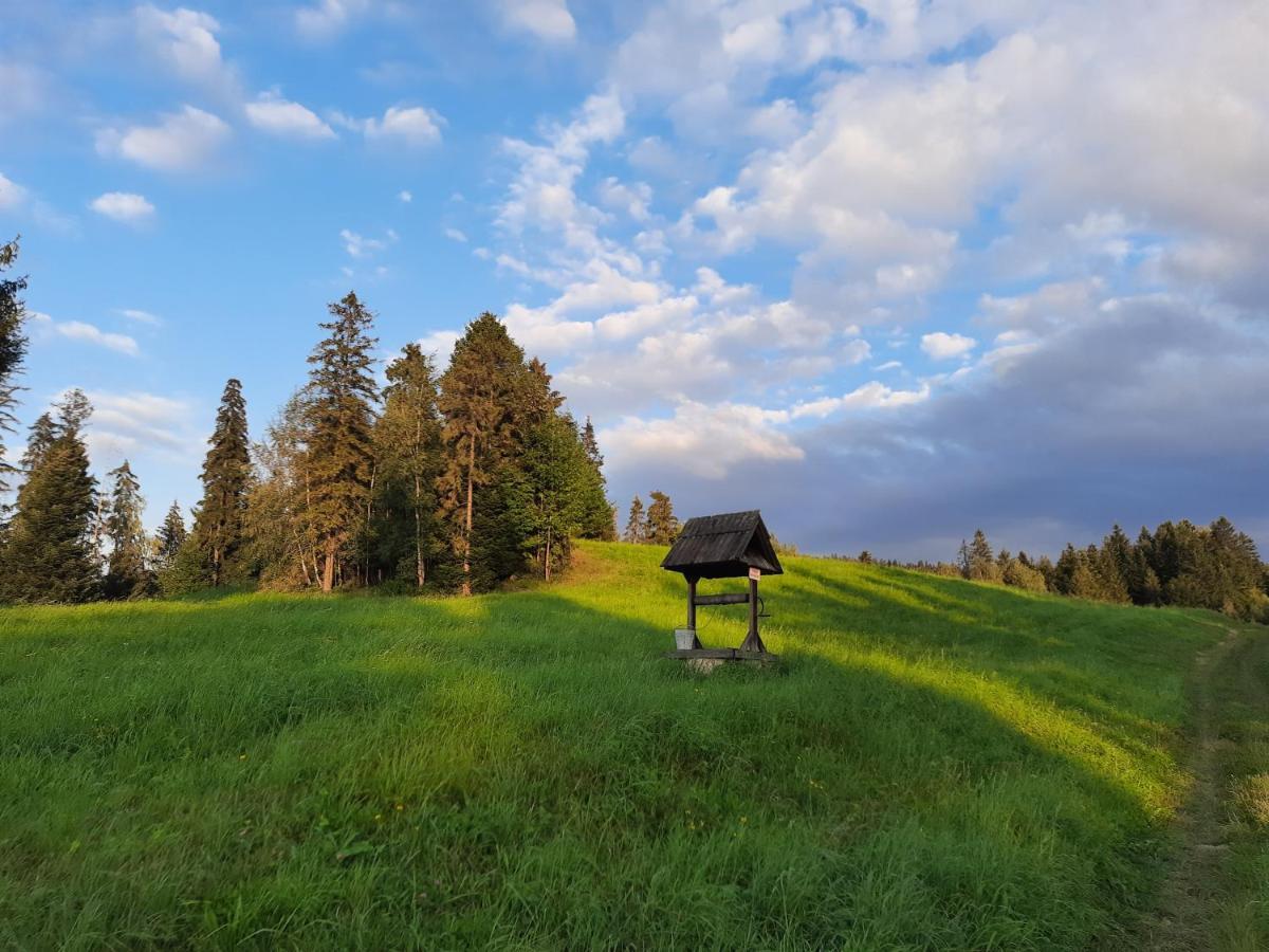 Domek Na Szlaku Rikardo Ponice Екстериор снимка