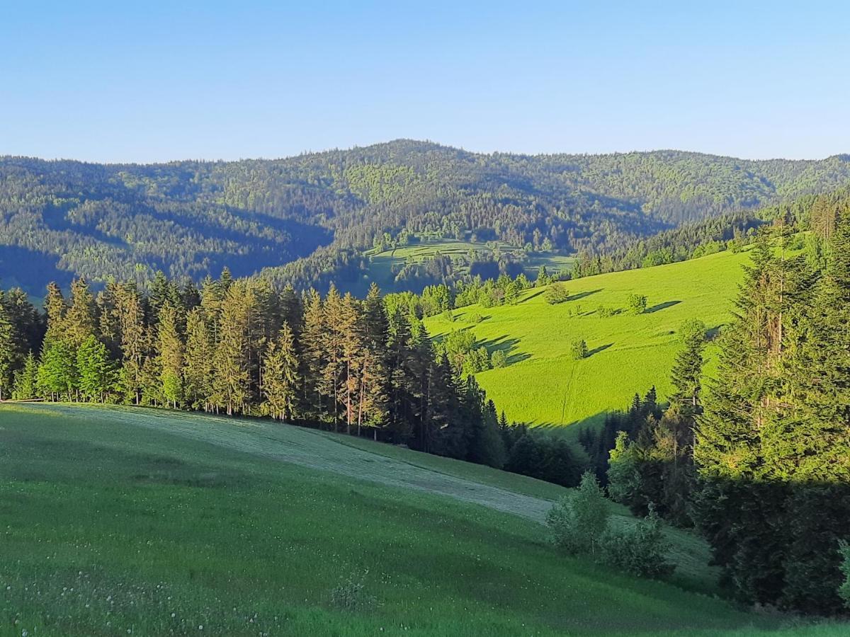 Domek Na Szlaku Rikardo Ponice Екстериор снимка